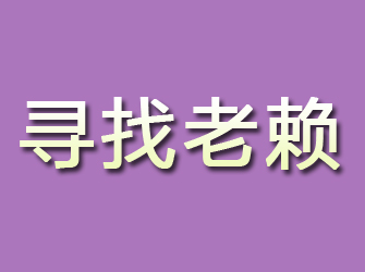 沙坡头寻找老赖